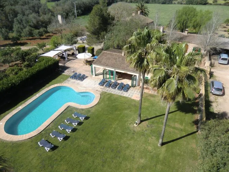 An outdoor pool beside a lawn, palm trees, and a shaded seating area.