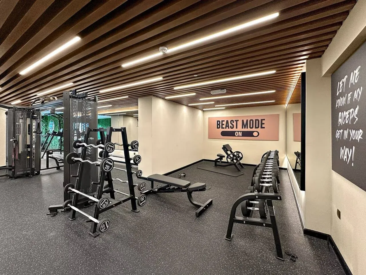 Una sala de entrenamiento con pesas y una fila de mancuernas.