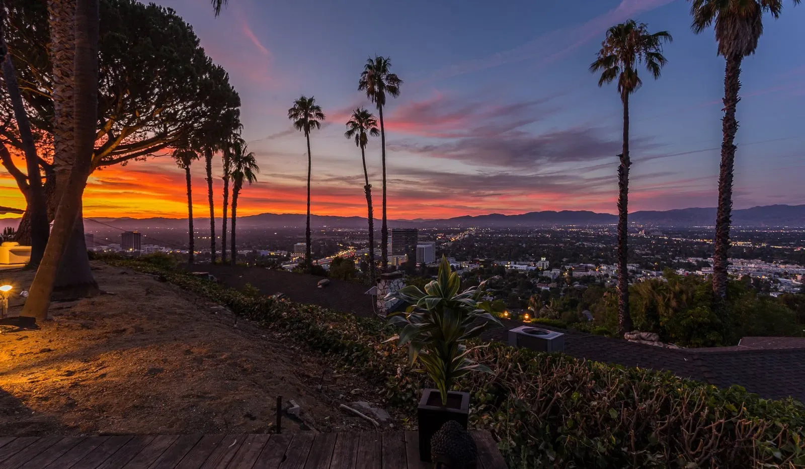 Paisaje urbano al atardecer desde una ladera ajardinada con palmeras.