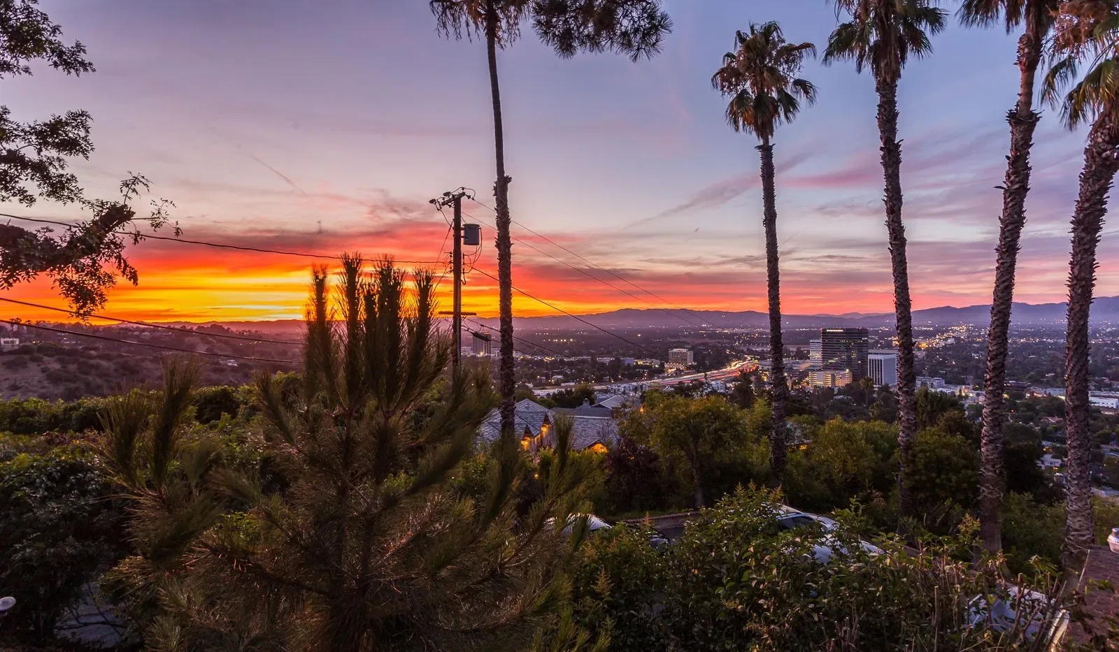 El atardecer ilumina una ciudad y colinas lejanas, enmarcadas por palmeras.