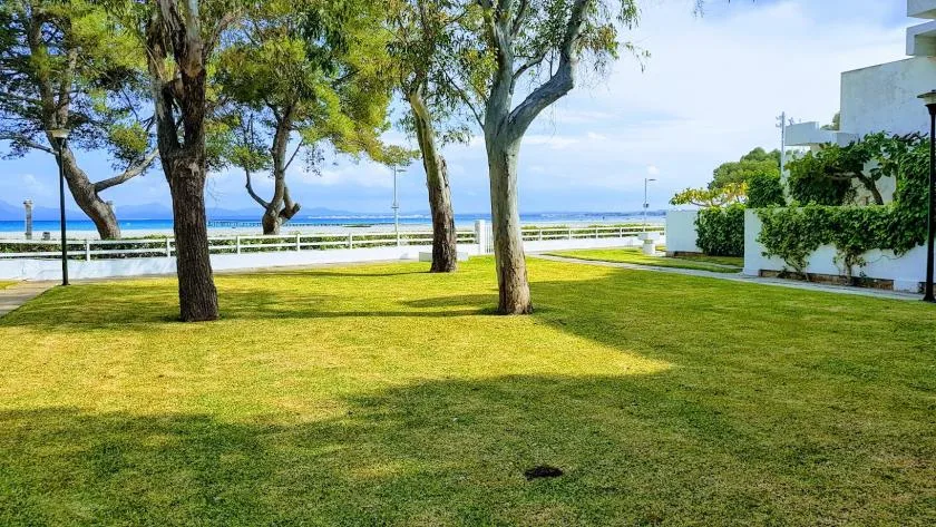 A grassy waterfront lawn with several trees and a white railing beside the water.