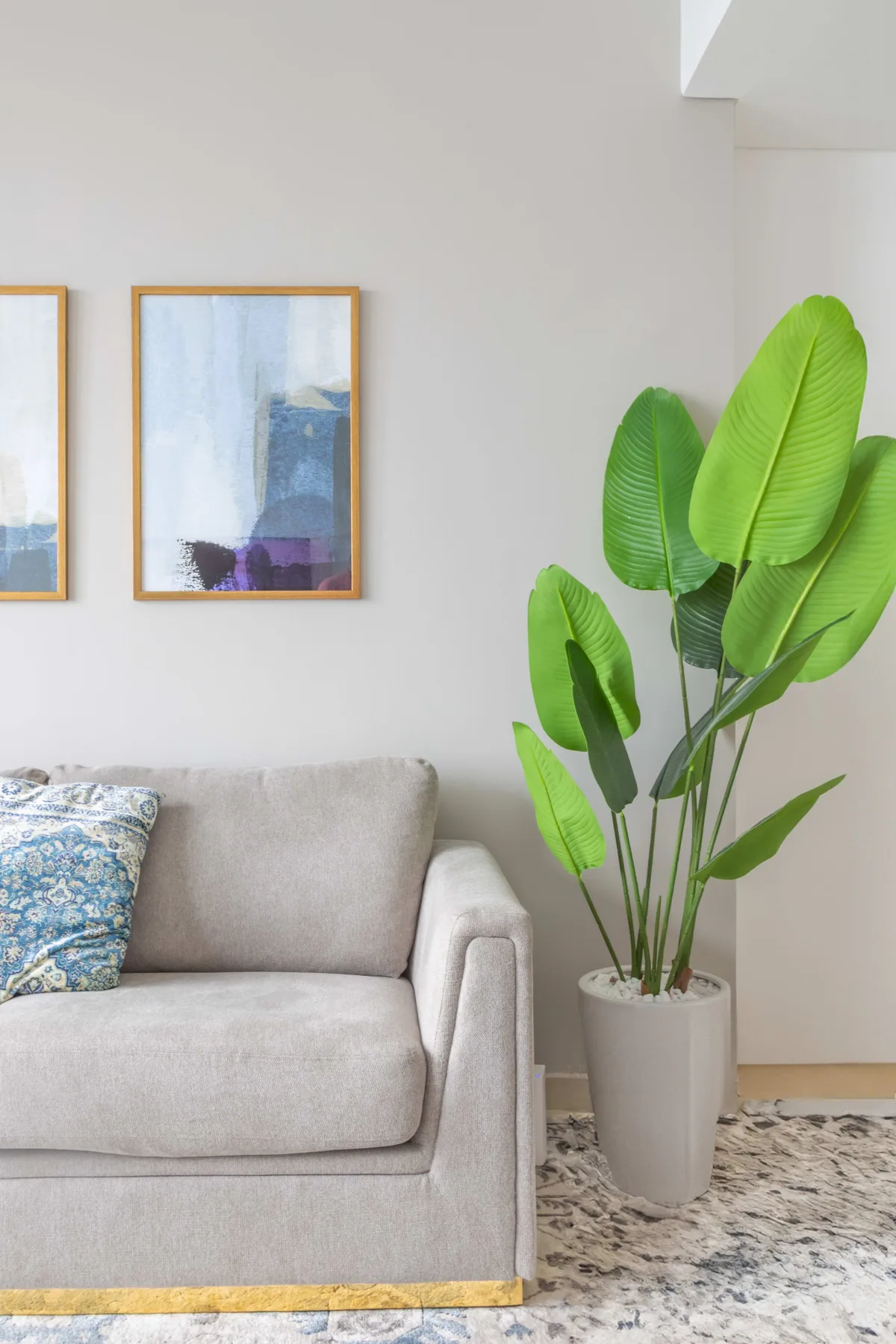 Una sala de estar con un sofá claro, cuadros enmarcados y una planta frondosa.