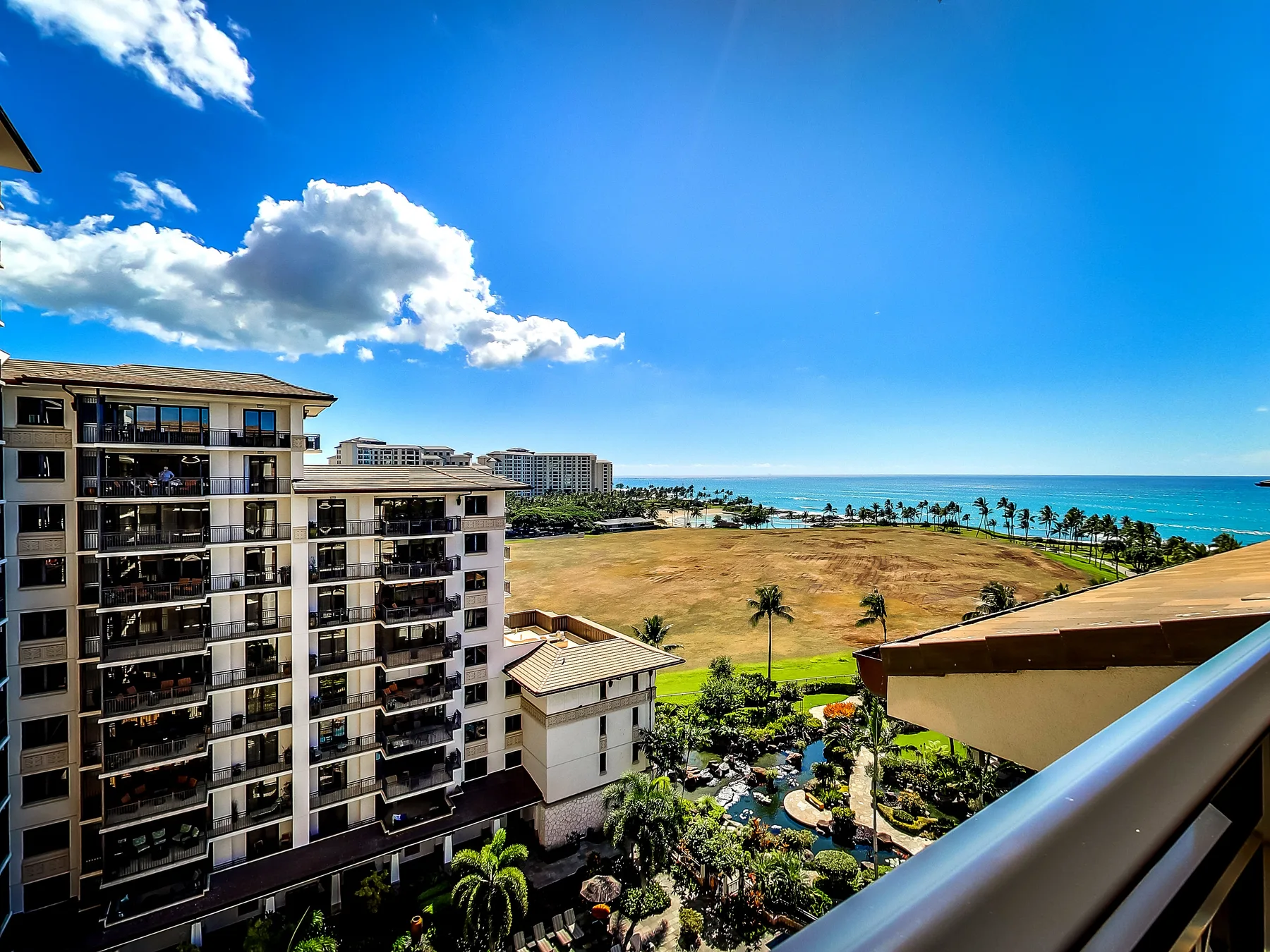 A balcony overlooks nearby buildings, a grassy area, palm trees, and the ocean.