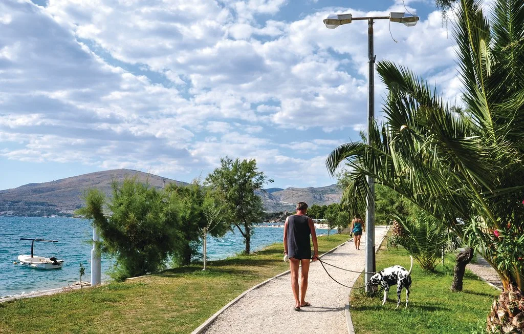 Un sendero junto al mar pasa entre palmeras y colinas a lo lejos.