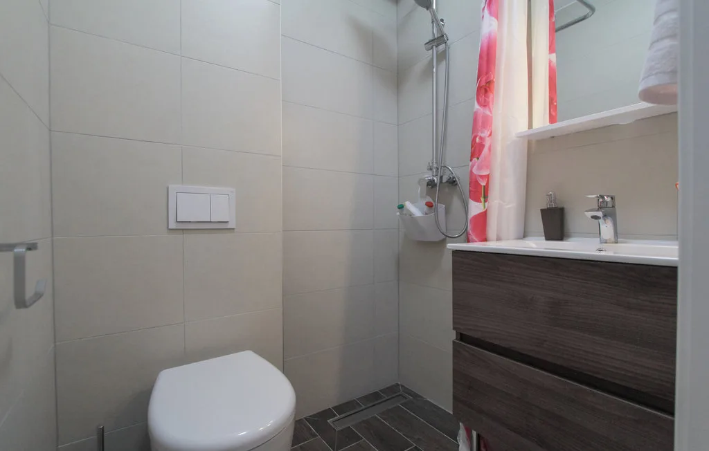 Un baño alicatado con ducha, inodoro y tocador.