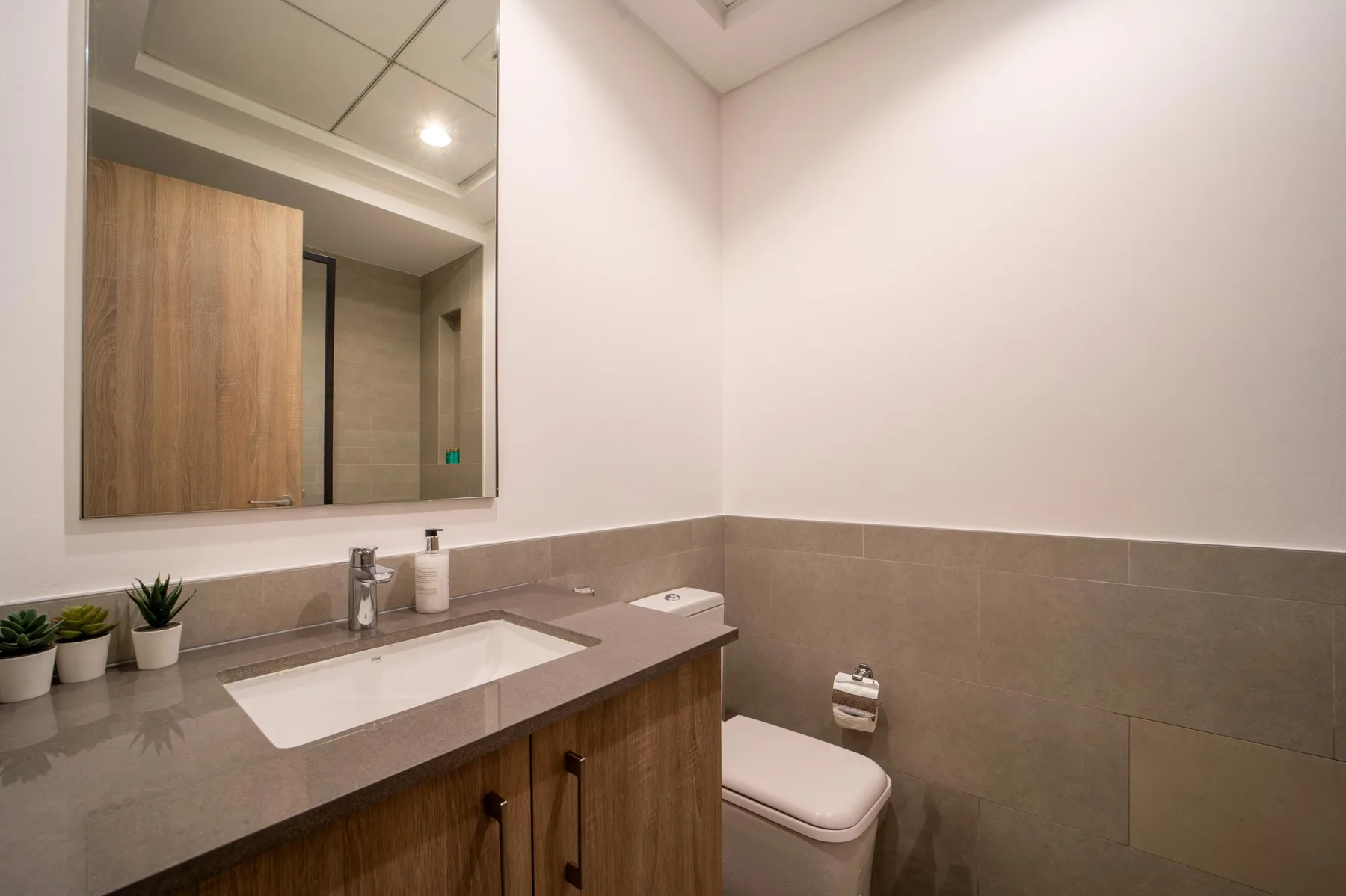 Un baño con lavabo, espejo e inodoro.
