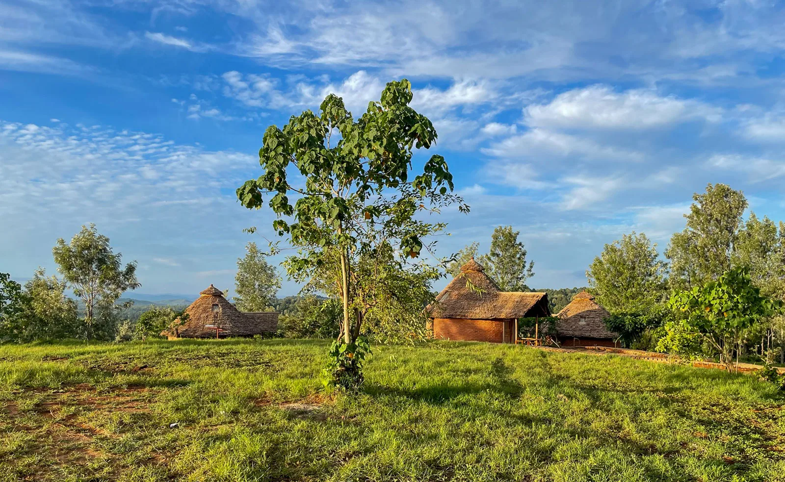 Tres cabañas en Foresight Eco Lodge