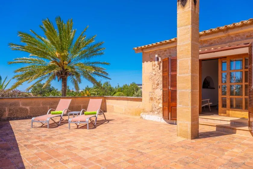 A sunny outdoor terrace with lounge seating and a palm tree beside the building.