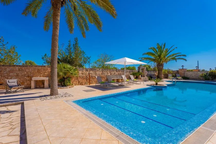 A swimming pool sits beside a tiled patio with palm trees and lounge seating.