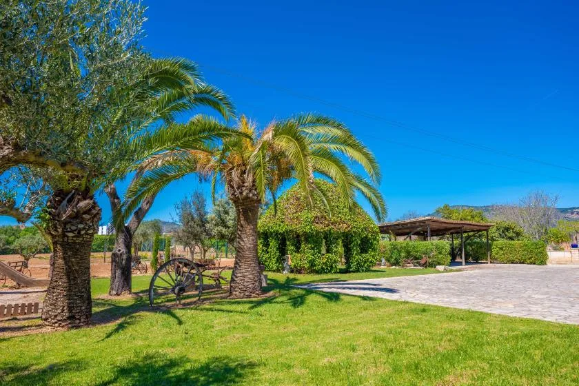 A landscaped garden with palm trees, green lawn, and a paved path.