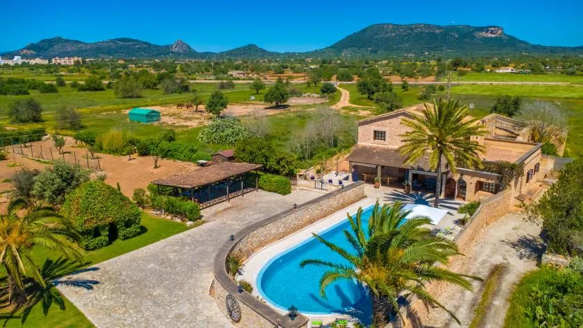 A swimming pool beside a house, with palm trees and green fields beyond.