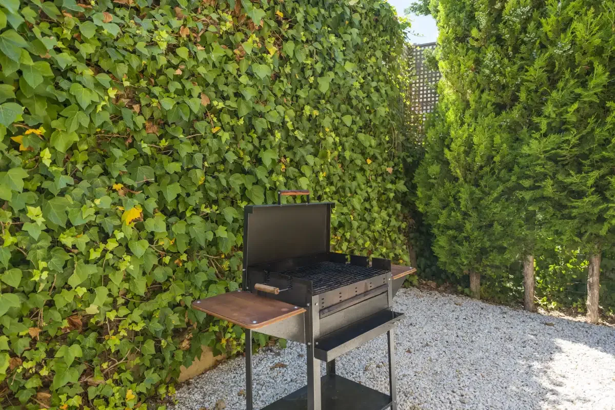 An outdoor grilling area with a barbecue beside dense greenery.