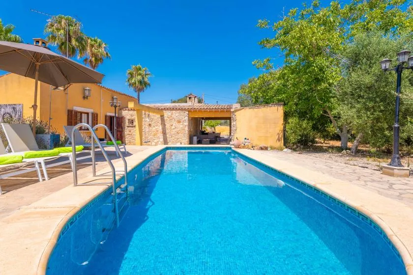 An outdoor swimming pool beside a sunny patio and garden.