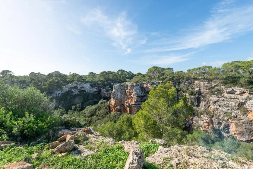 A rocky ravine cuts through green woodland beneath a blue sky.