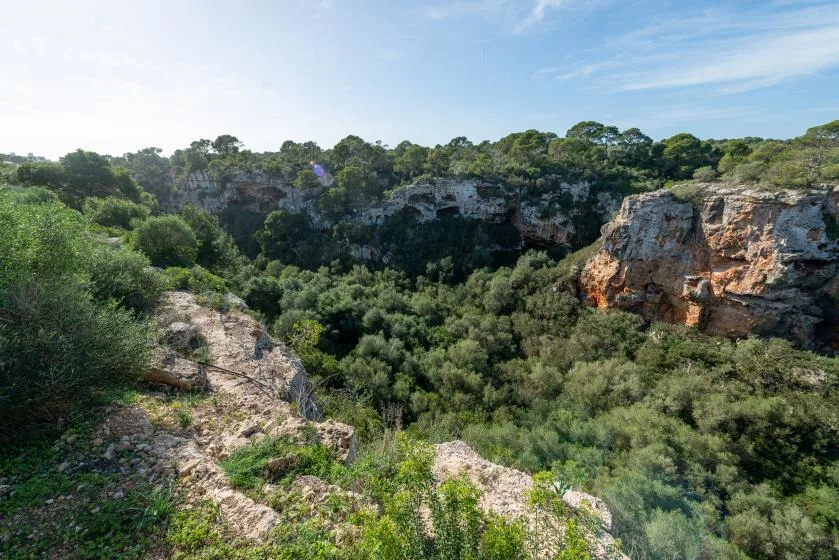 A wooded rocky ravine beneath a partly cloudy sky.