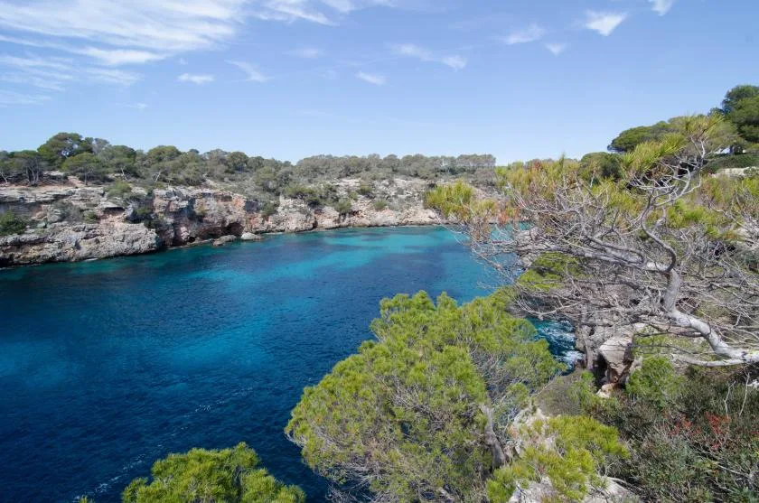 A coastal cove with deep blue water, rocky cliffs, and surrounding trees.