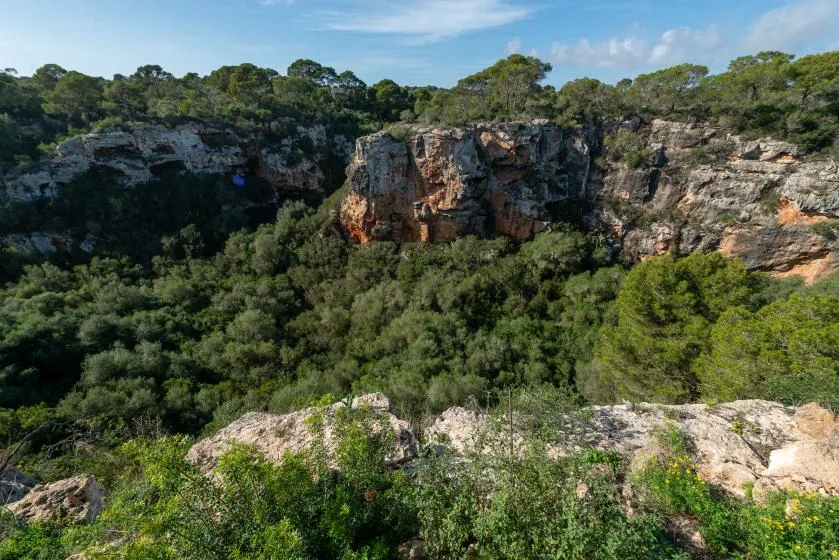 A rugged rocky ravine surrounded by dense green vegetation beneath a blue sky.