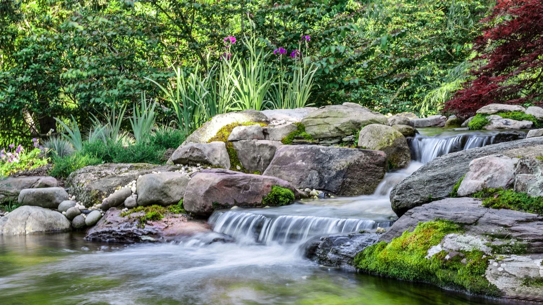 A garden stream flows over rocky ledges among lush plants.