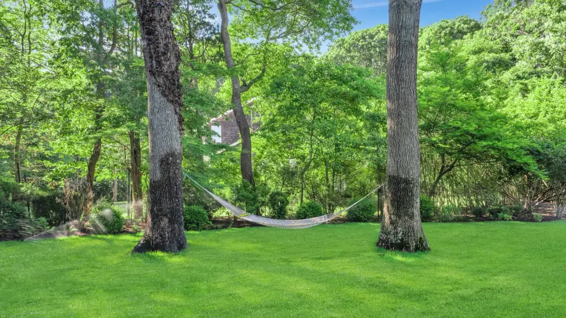 A green lawn in a wooded yard with a hammock stretched between trees.