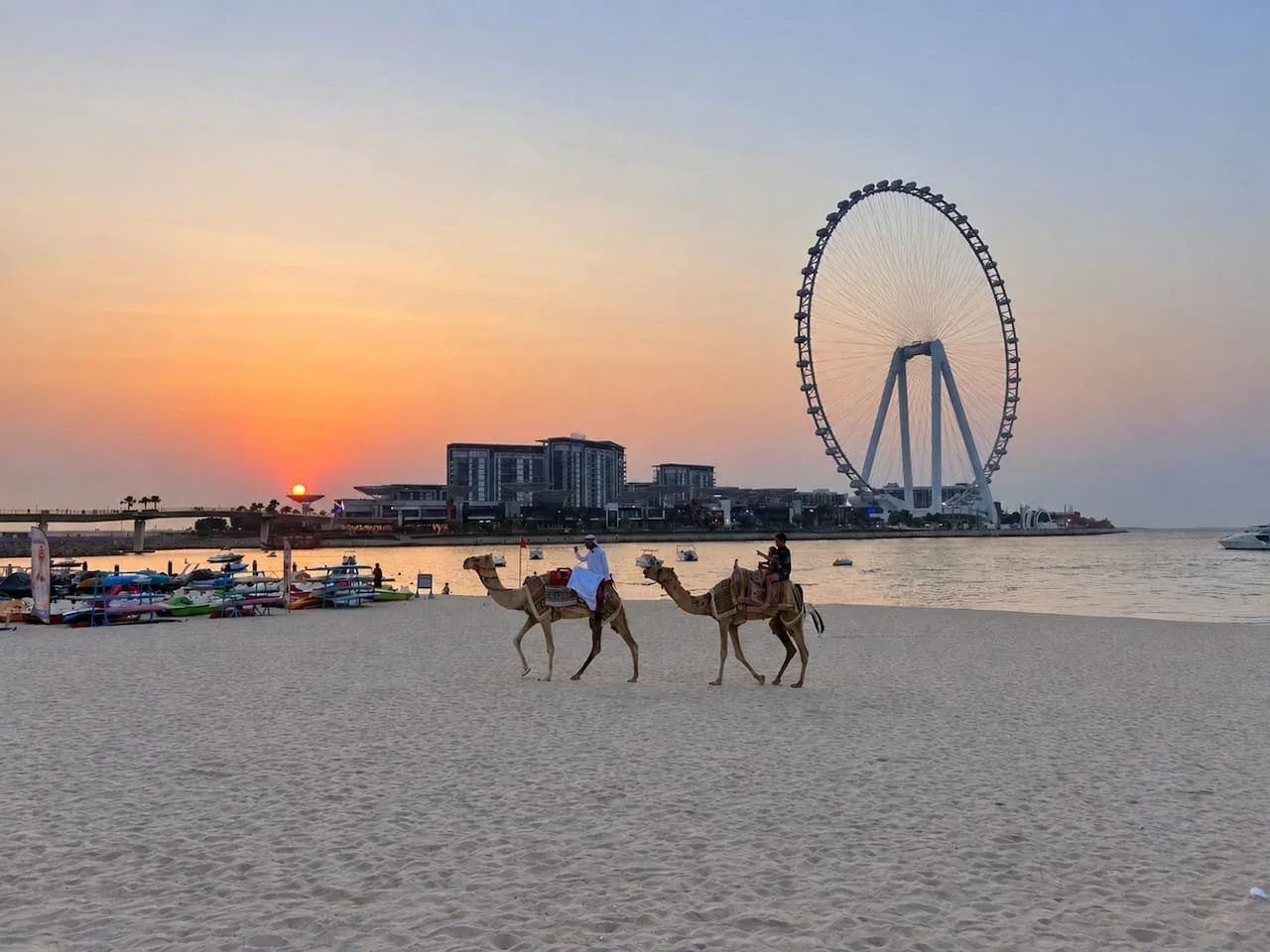 A sandy beach at sunset, with camels and a large observation wheel across the water.