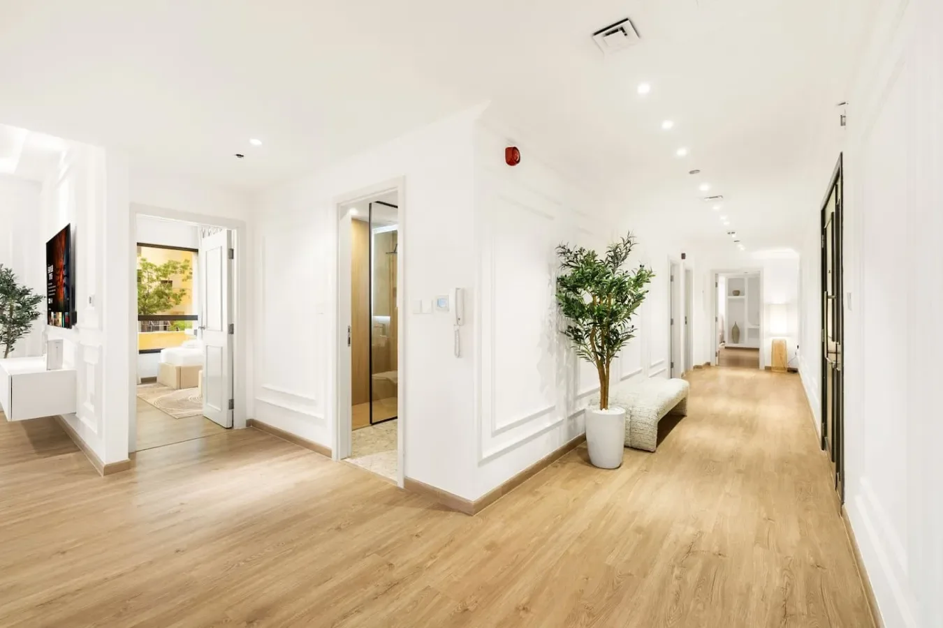 A bright hallway with light wood flooring, a bench, and a potted tree.