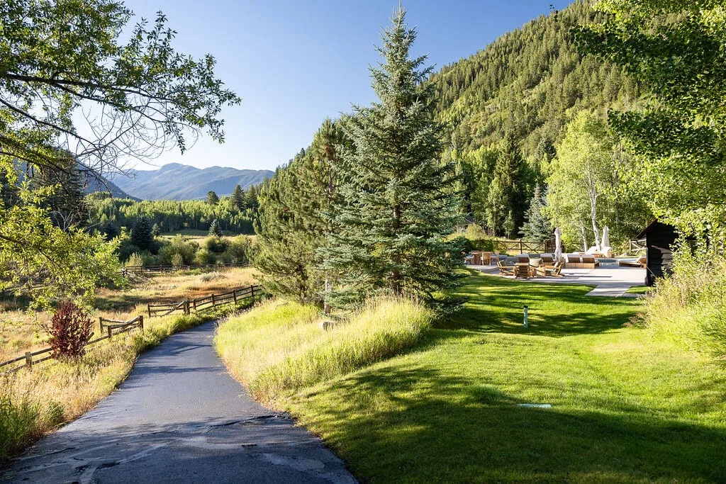 A paved path curves through a grassy landscape toward a mountain forest.