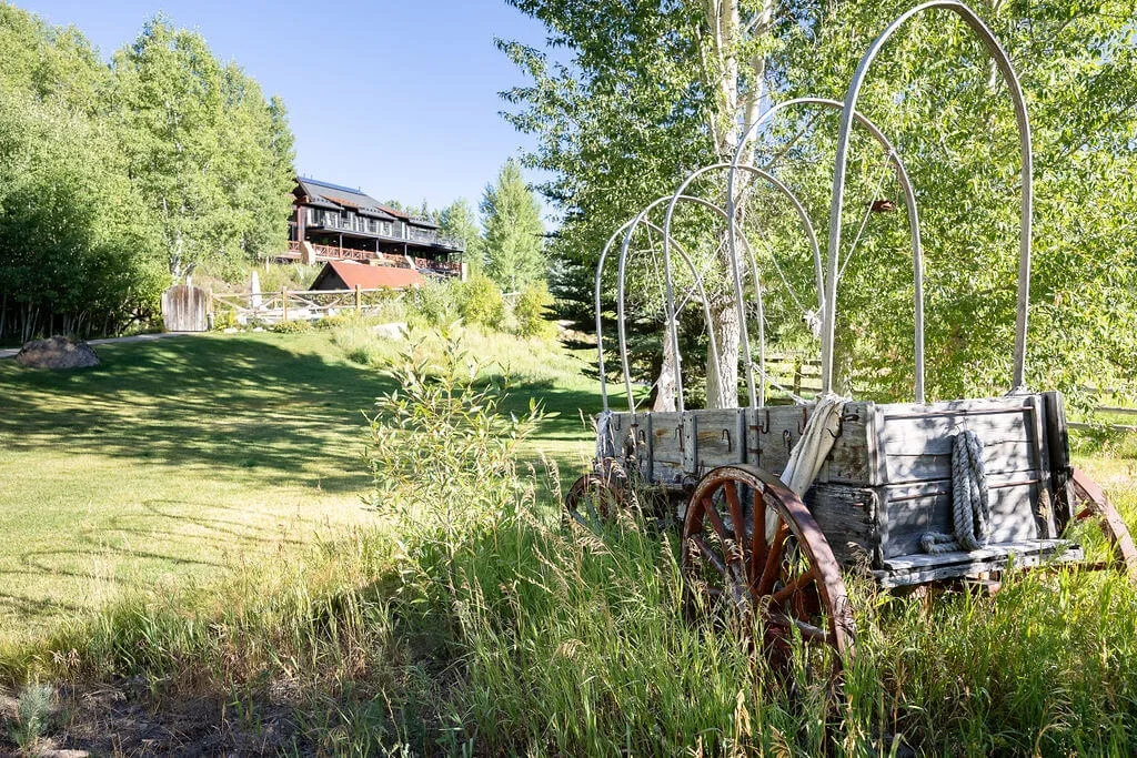 A rustic wagon sits in a grassy garden, with a wooden building among the trees.
