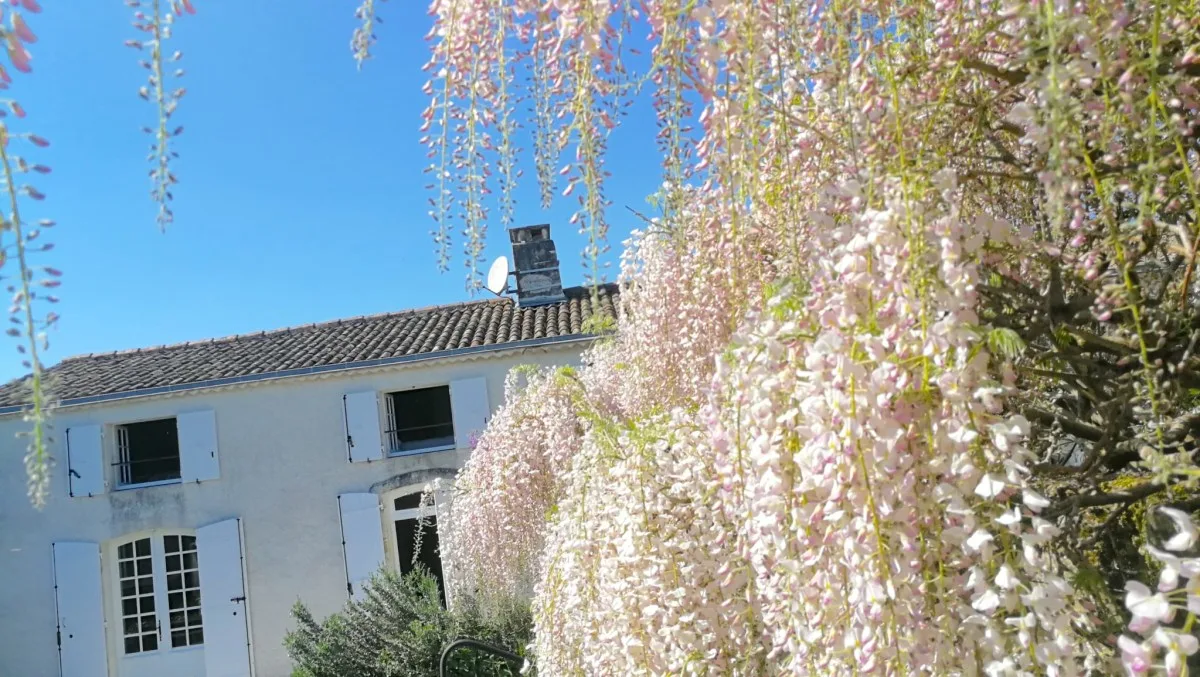 Gîte Cocon Nature