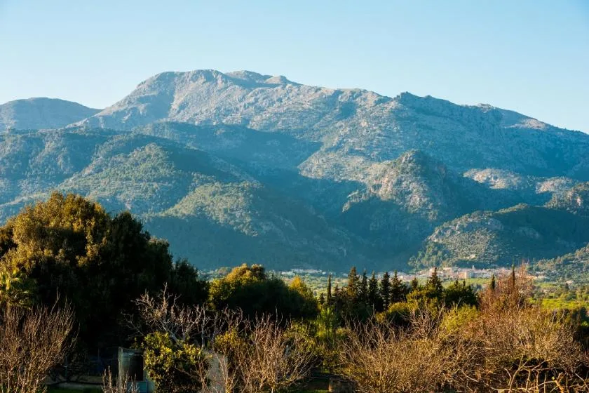 Paisaje montañoso con laderas boscosas y árboles en primer plano.