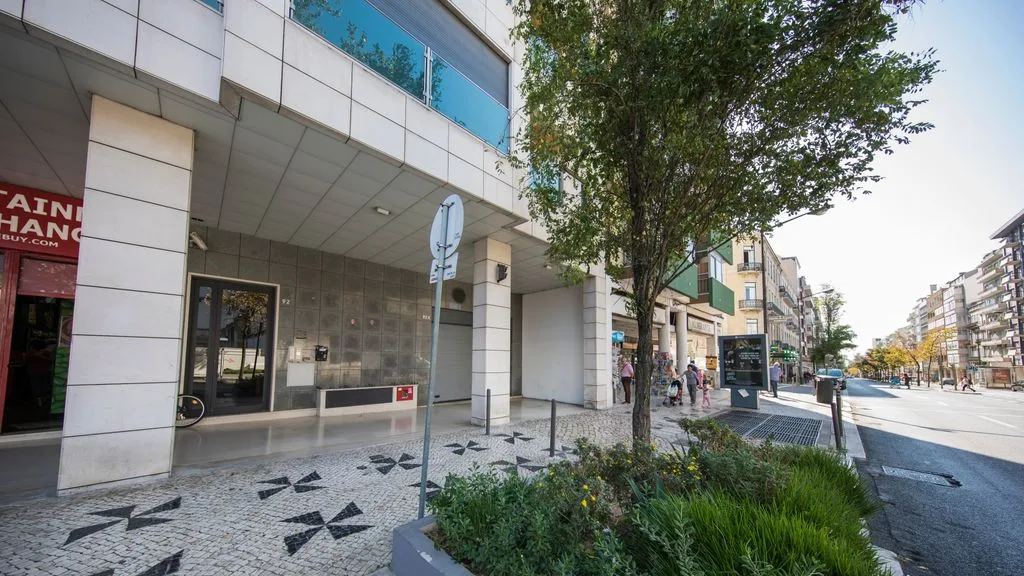 A city street with a modern building, sidewalk, and a leafy tree.