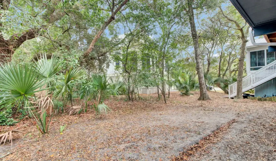 A wooded yard with leafy trees and a gravel path beside a house.