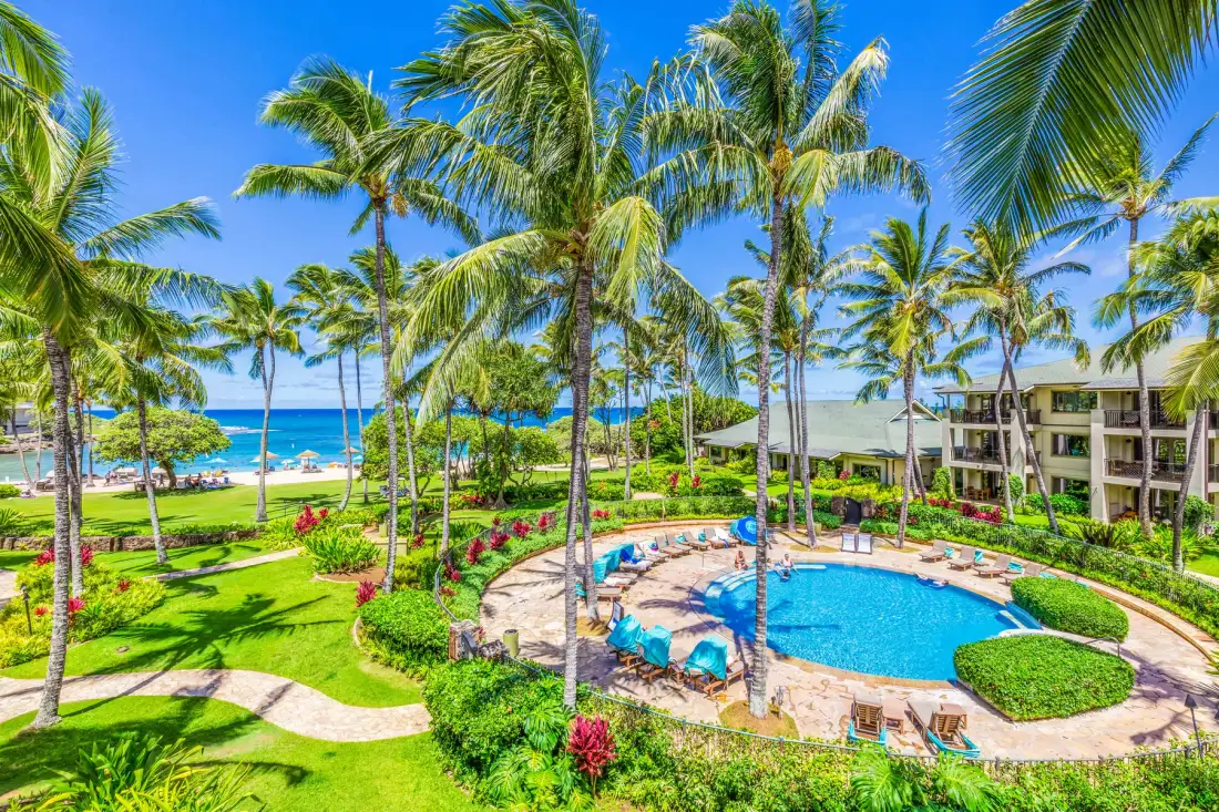 A tropical resort pool sits among palm trees, landscaped gardens, and ocean views.