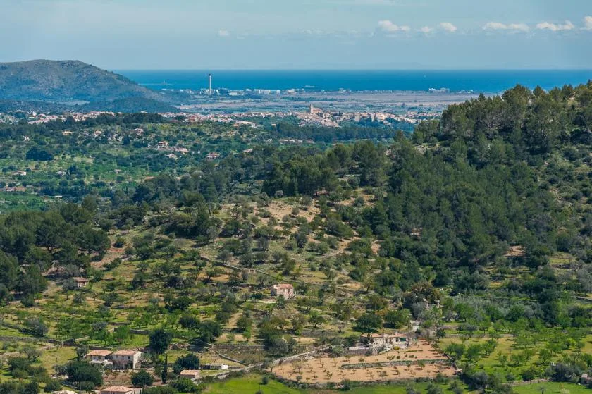 A green hillside overlooks a coastal town and the sea.