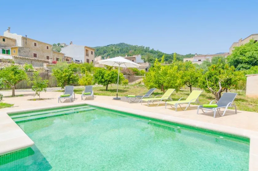 Una piscina al aire libre está rodeada de asientos reclinables y vegetación.