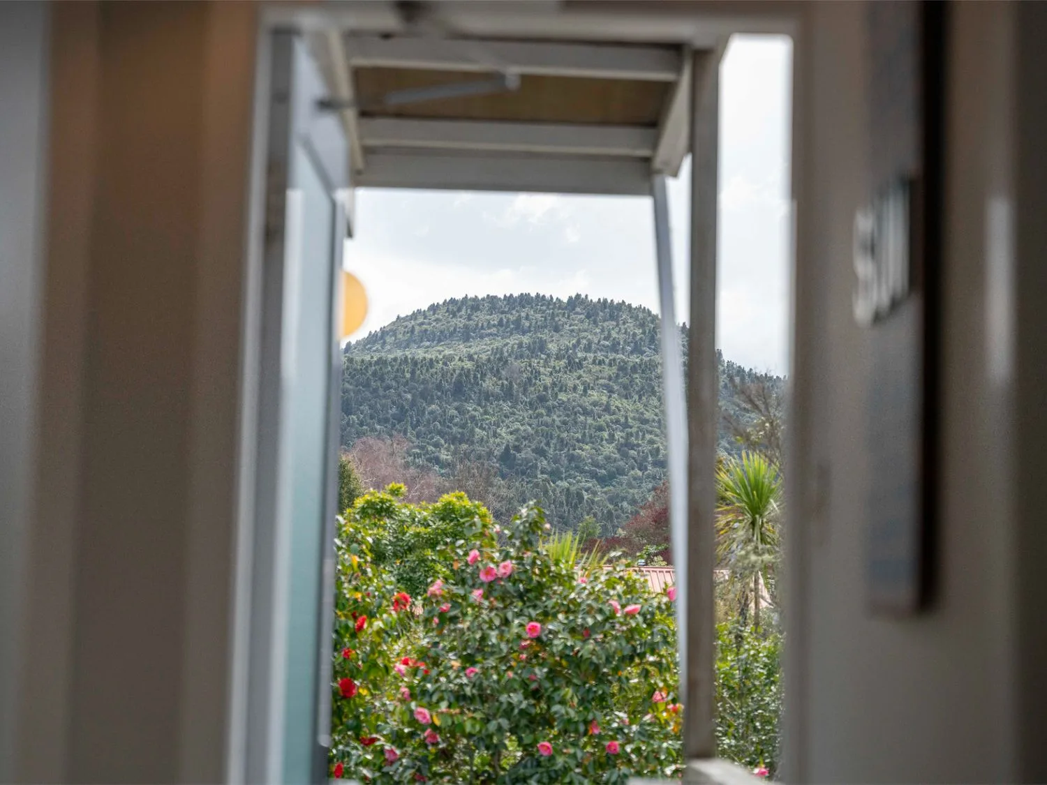 Vista de una montaña y plantas desde una puerta de la propiedad