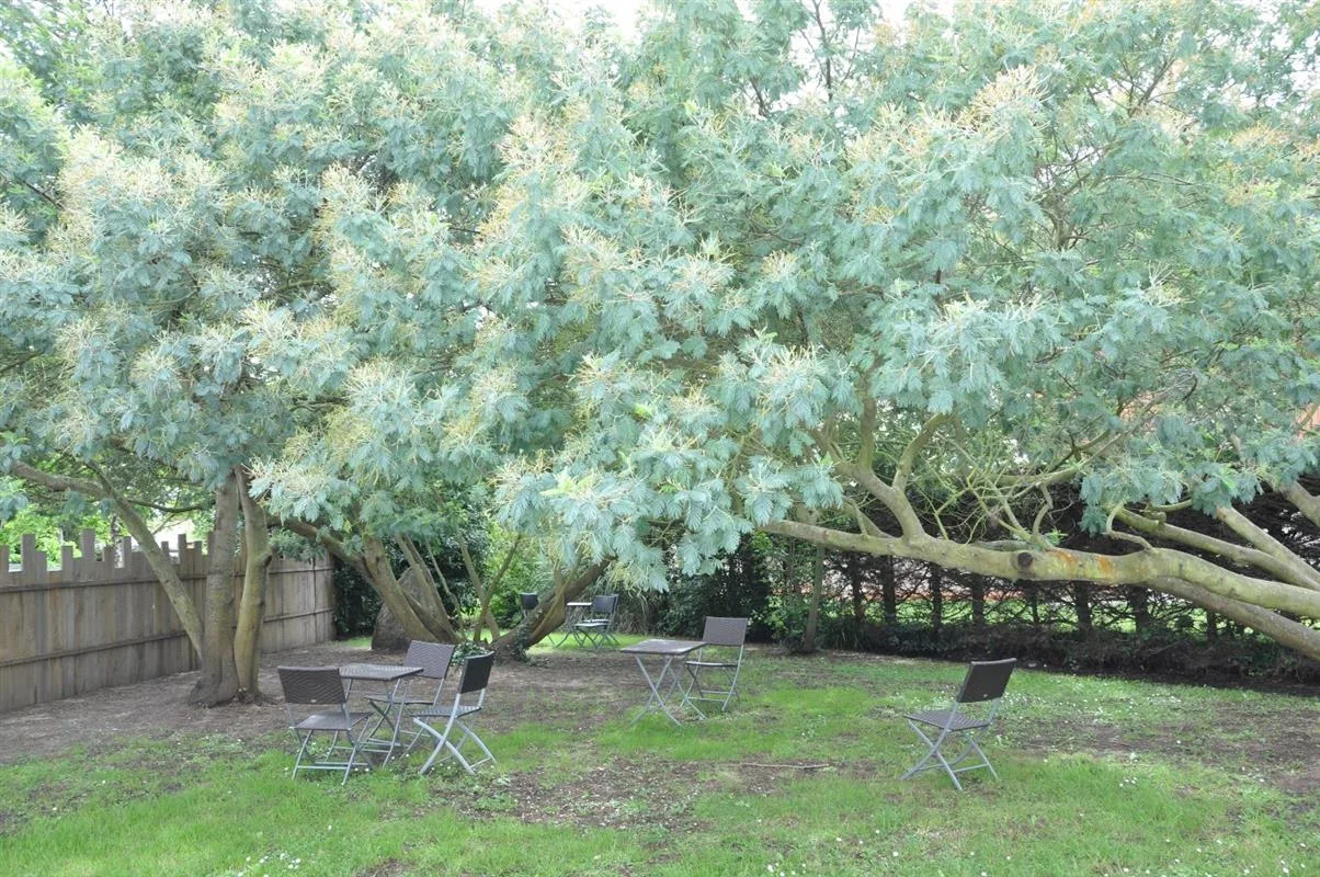 Hotel property photo