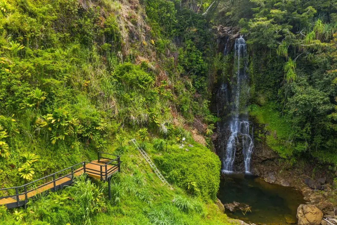 A waterfall descends through lush green vegetation into a pool beside a wooden walkway.