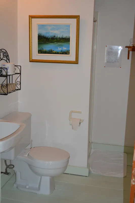 Baño privado de Mona Lisa con ducha