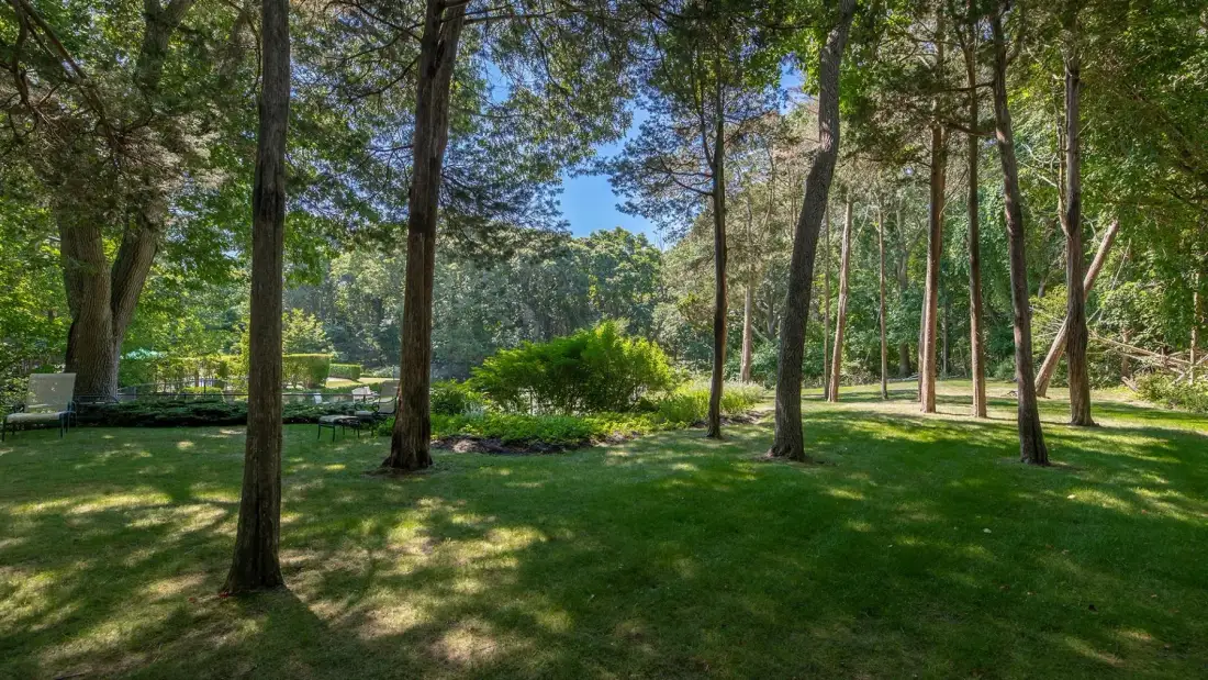 Un jardín con césped, árboles altos y arbustos.