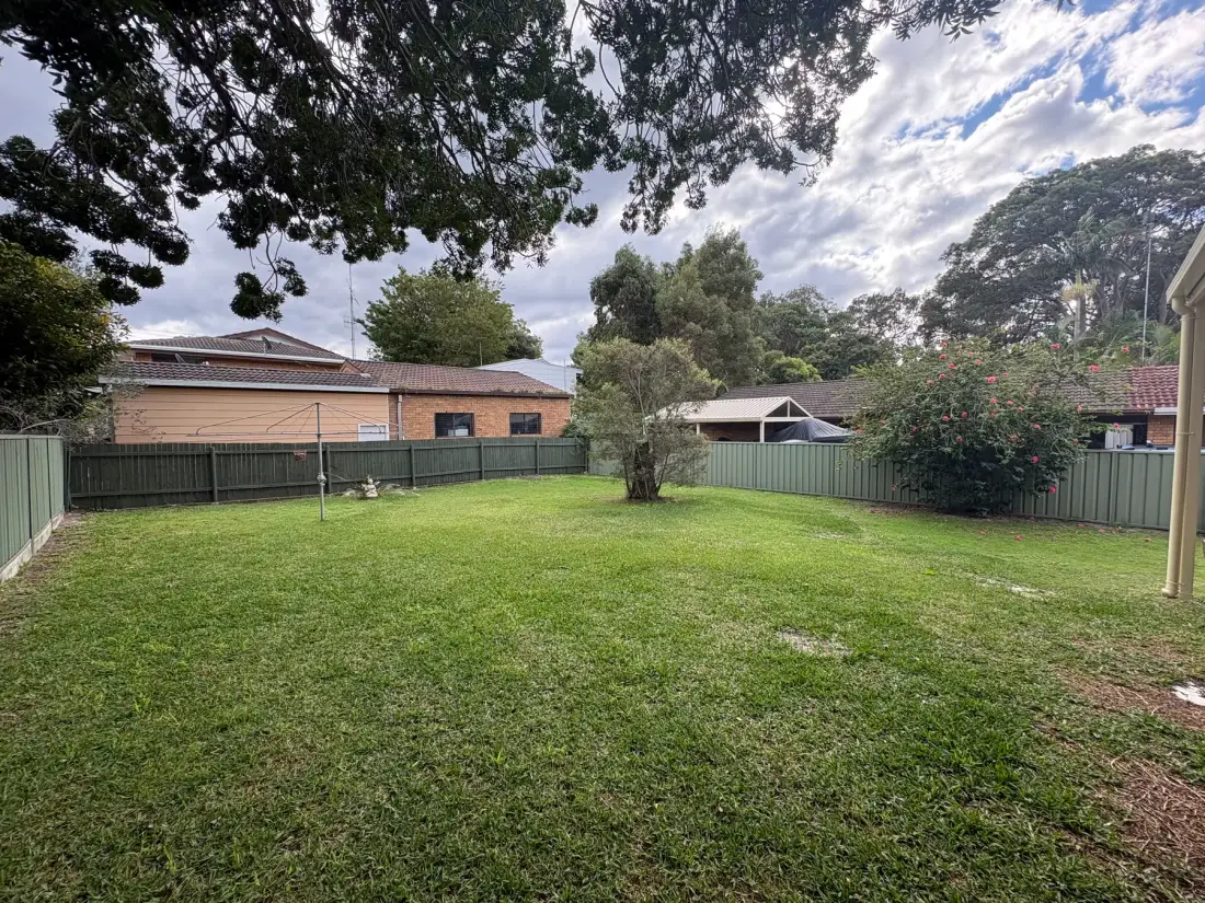 A grassy backyard bordered by fencing and mature trees.