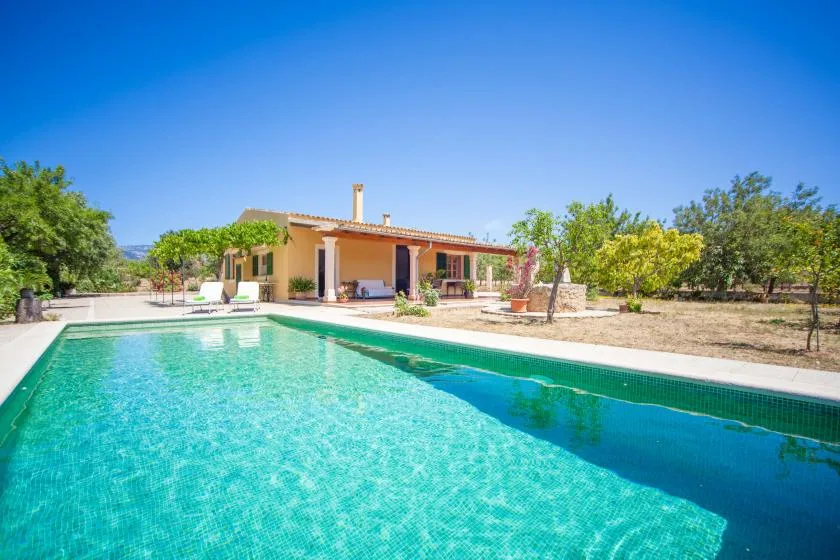 A swimming pool in front of a low house, surrounded by trees.
