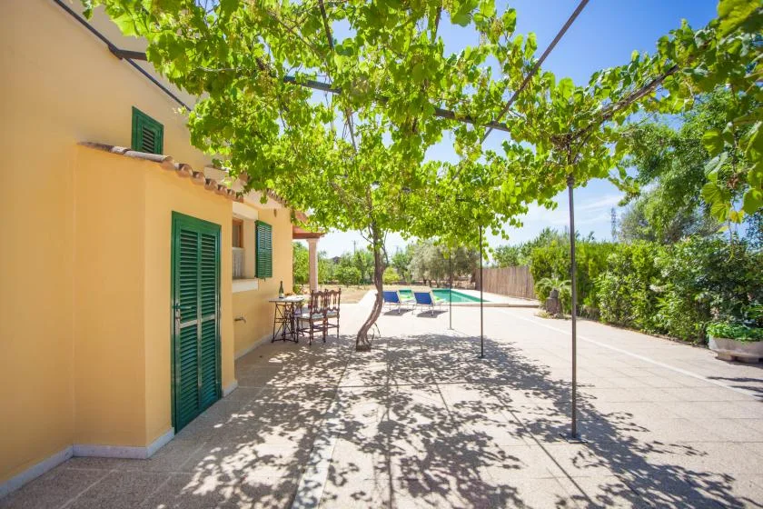 Un patio soleado bajo una parra frondosa, con asientos al aire libre y una piscina.