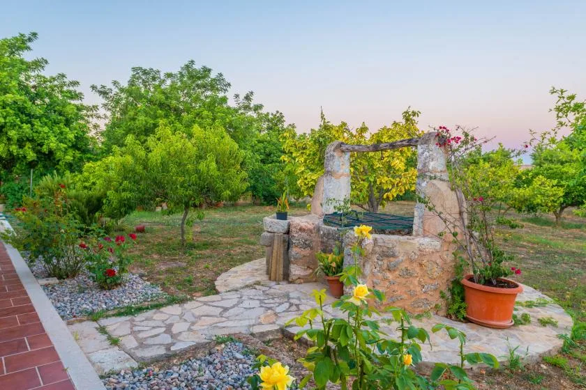 Un patio ajardinado con un pozo de piedra, plantas con flores y árboles.