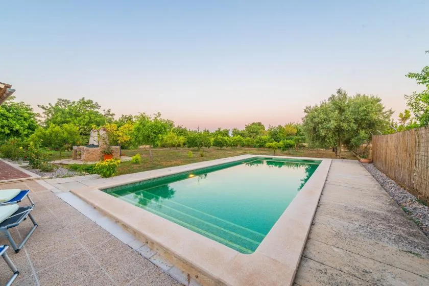 Una piscina al aire libre está rodeada de zonas pavimentadas y vegetación.