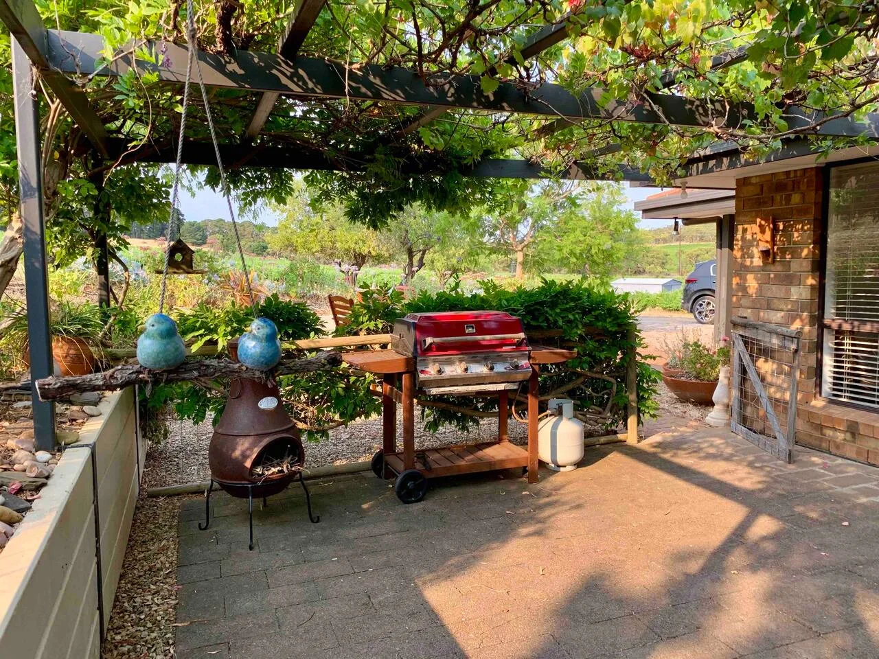 Un patio exterior tiene una parrilla bajo una pérgola frondosa.