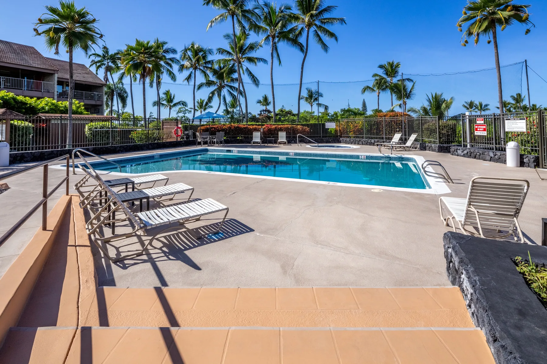 An outdoor swimming pool is surrounded by lounge seating and palm trees.