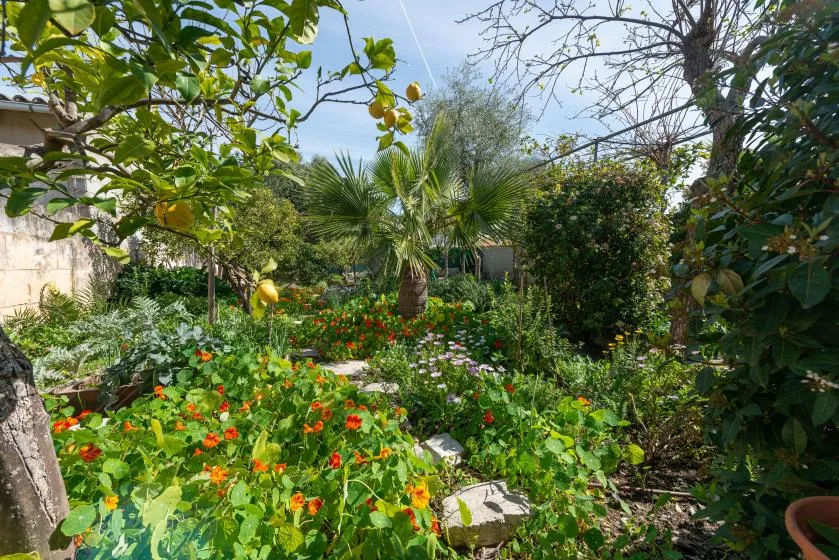 A lush garden with colorful flowers, leafy plants, and a palm tree.
