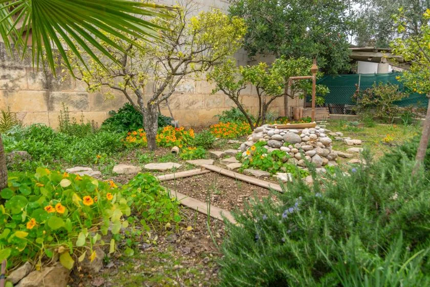 A garden with flowering plants, trees, and a small stone-lined pond.