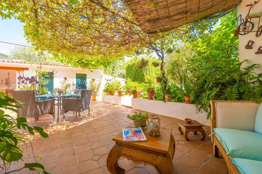 A shaded outdoor patio with seating and potted plants.