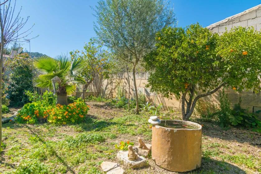 A sunny garden with leafy trees, flowering plants, and a small stone well.